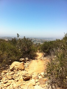 cowles