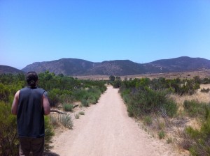 photo 03
