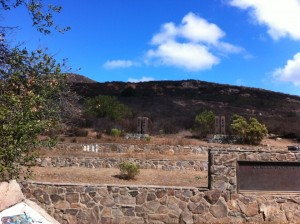 cowles staging