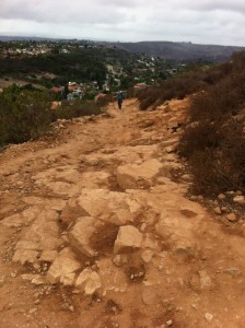 photo-71