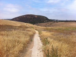 Great diversity on this hike