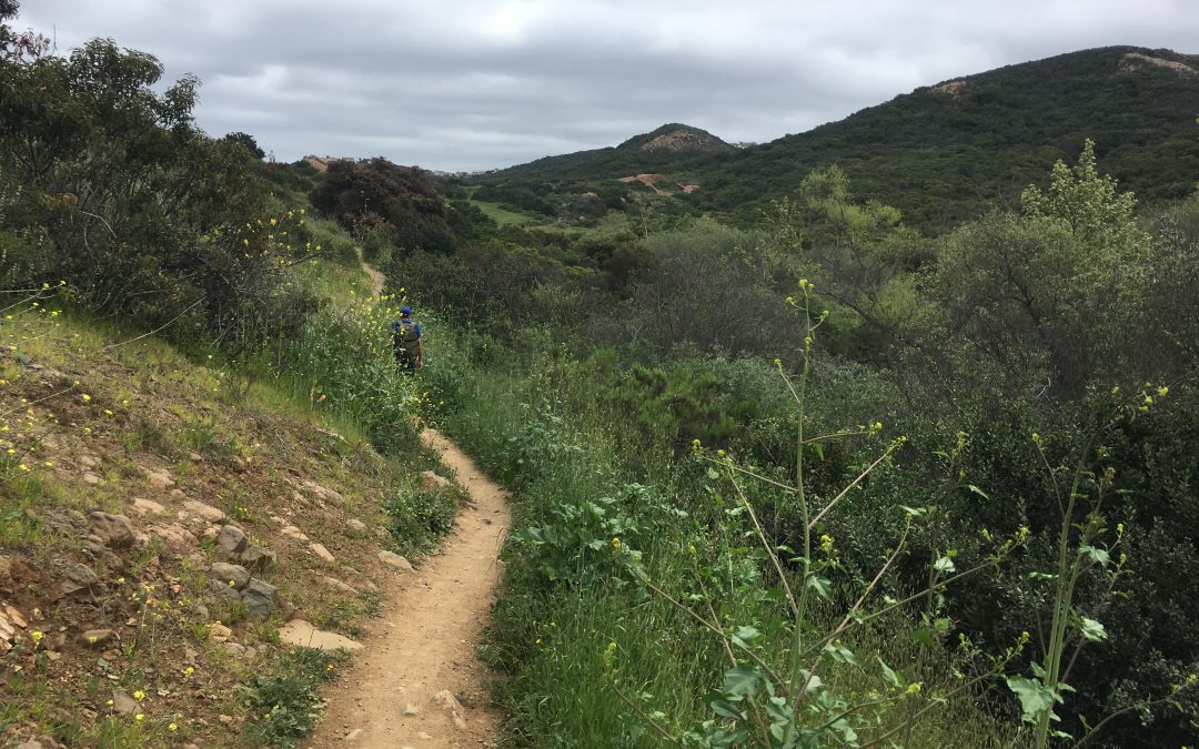 Los Penasquitos Canyon Trail-West Approach