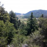 Palomar Observatory Trail:  A Hike to the Stars!