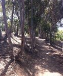 Hike The Lagoon:  Batiquitos, Carlsbad, CA