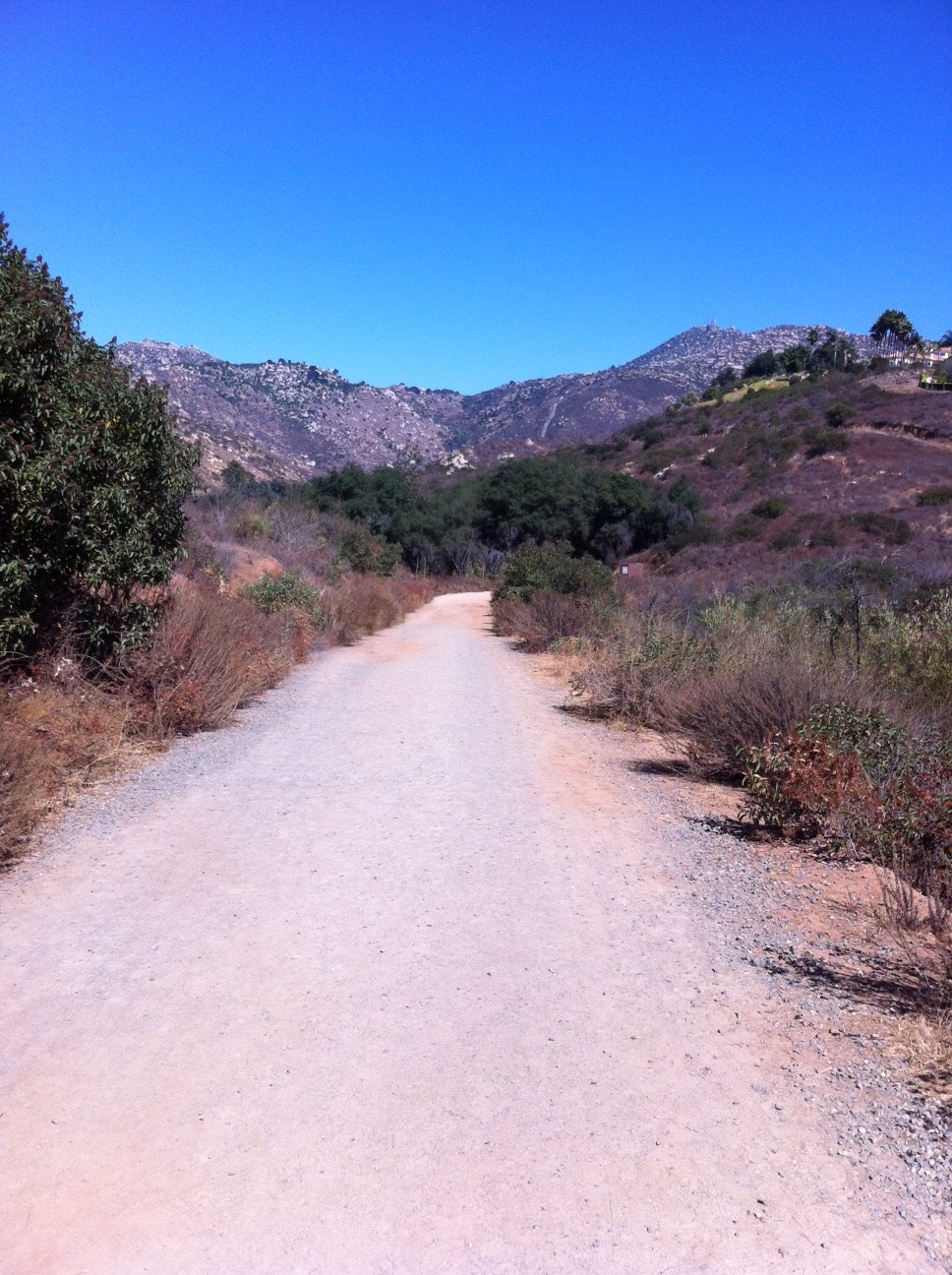 Father & Son Hike at Blue Sky Preserve Trail; Poway, CA