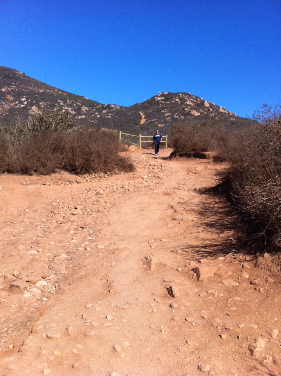 Cowles Mountain