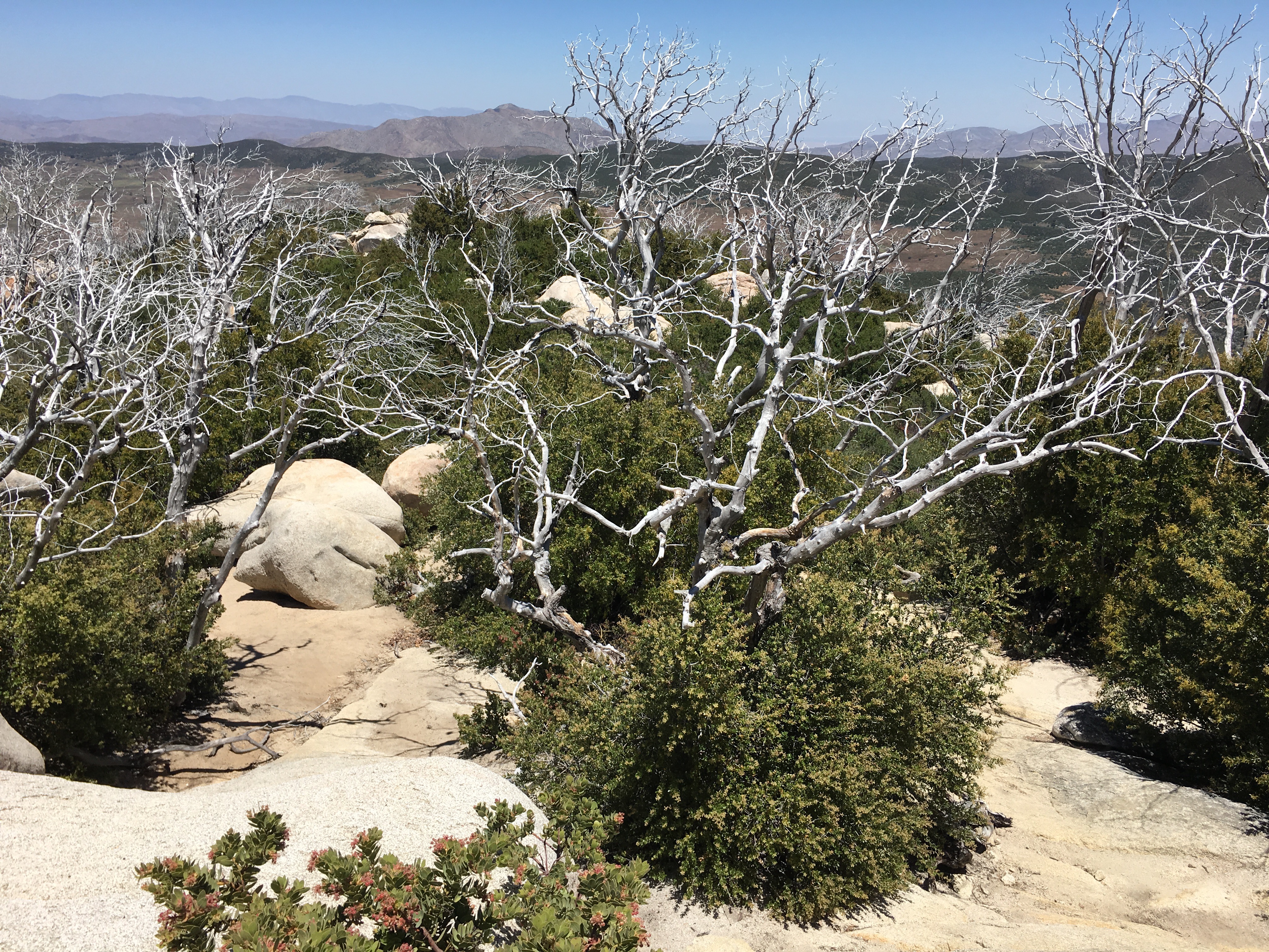 Stonewall Peak