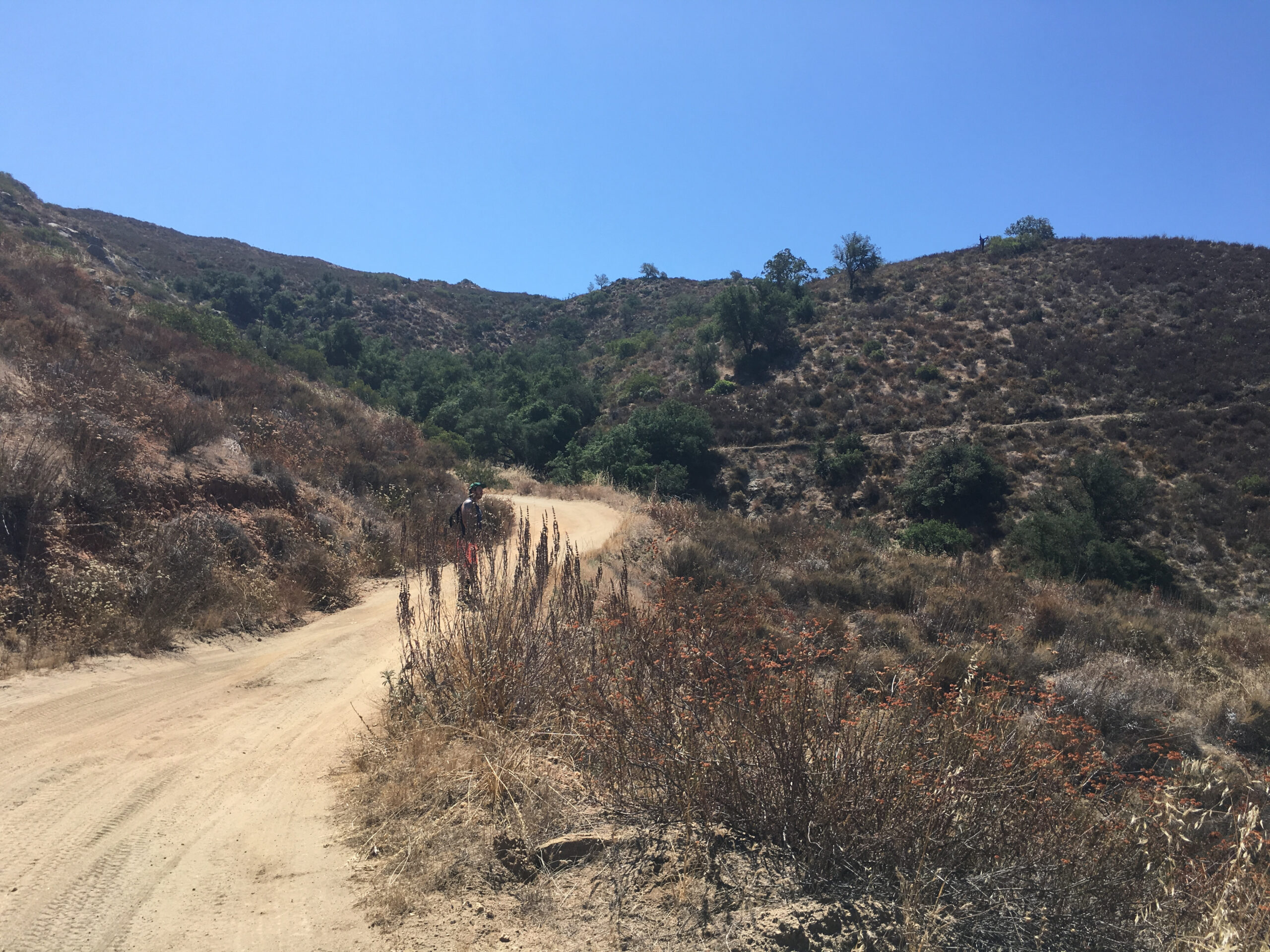 Big Black Mountain, Ramona