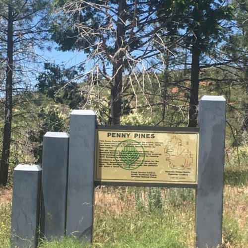 Garnet Peak: via Pacific Crest Trail at Penny Pines; Pine Valley, CA              Hiker Therapy  05/28/2017