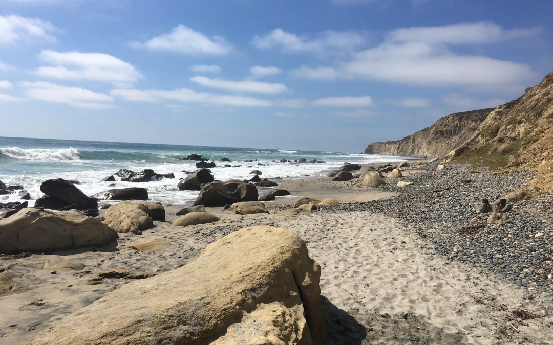 Beach Hike!  Torrey Pines State Beach to Black’s Beach, 06/18/2017:  Hiker Therapy