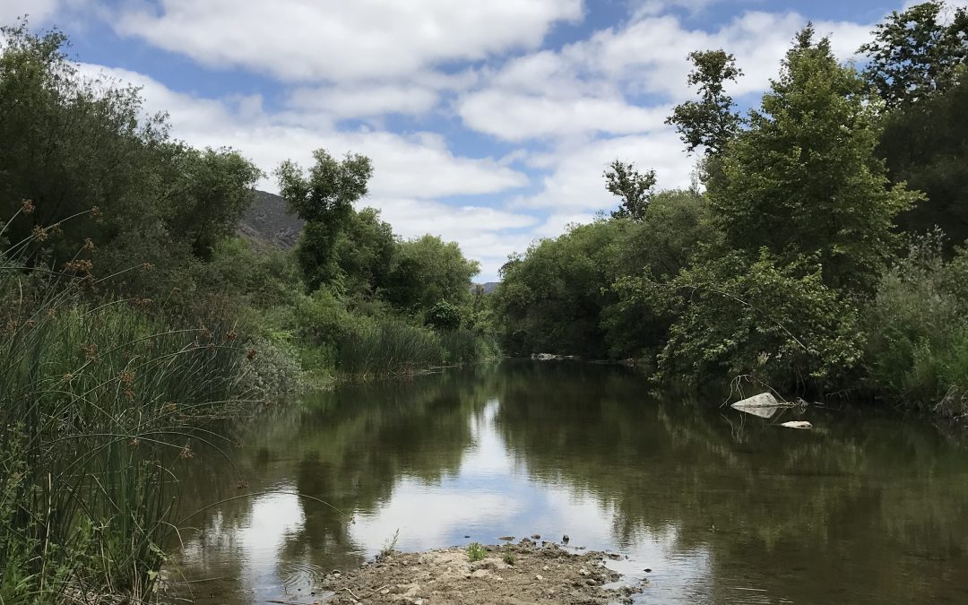 Santa Margarita River Trail, Fallbrook, CA Father’s Day Hike 06/18/2017    Hiker Therapy