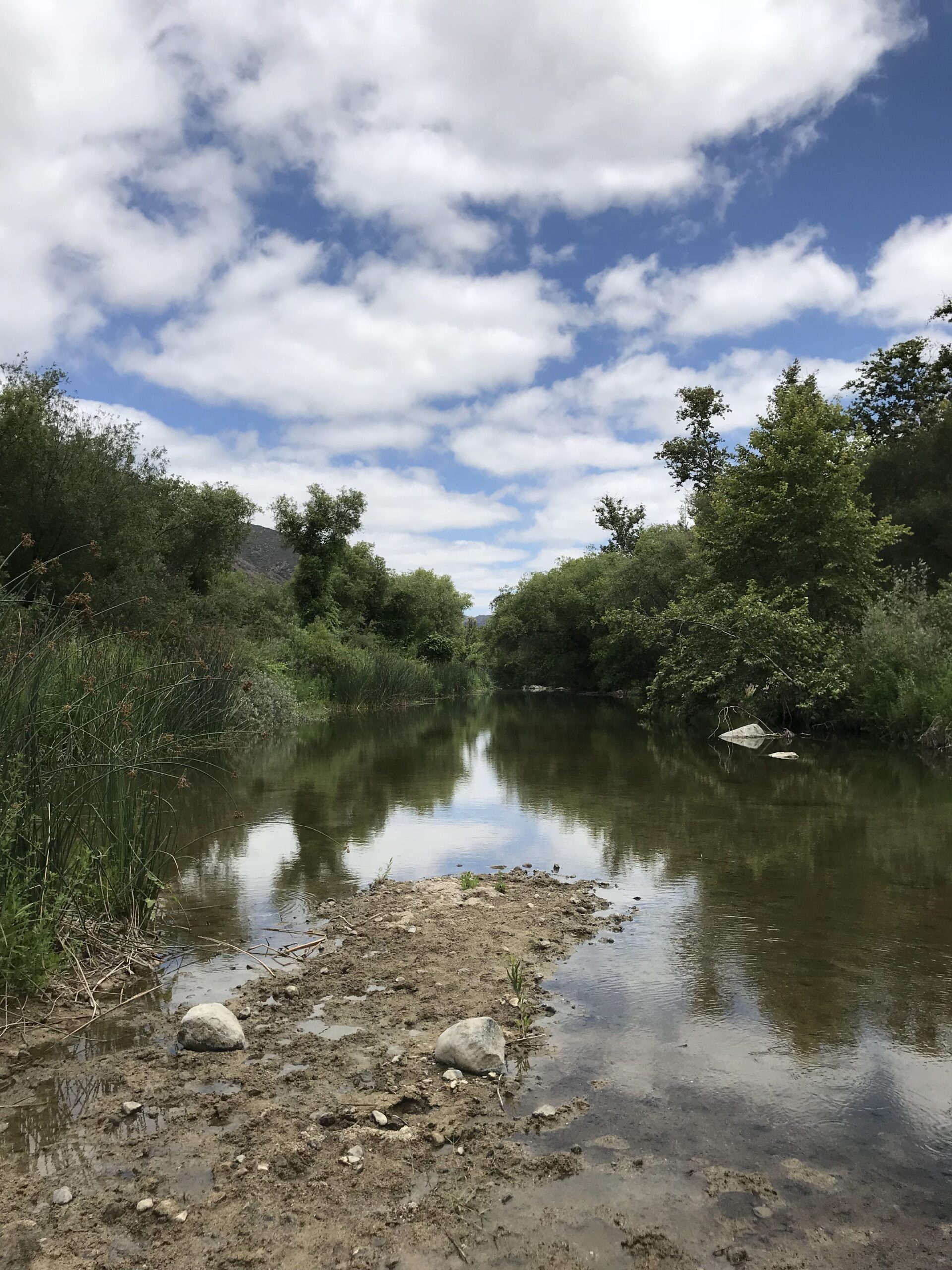 Santa Margarita River Trail, Fallbrook, CA Father’s Day Hike 06/18/2017    Hiker Therapy