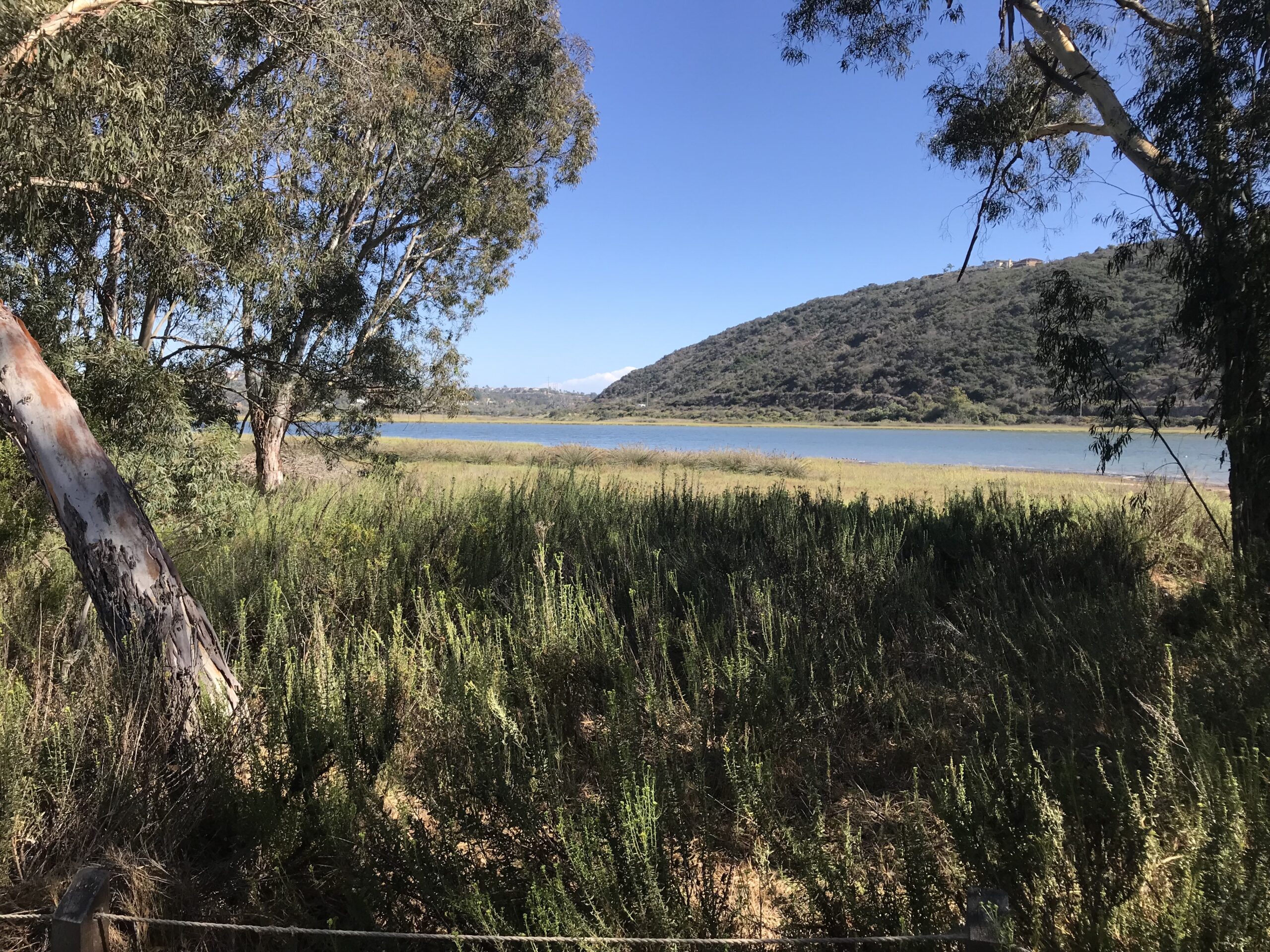 Hike The  Lagoon:  Batiquitos Lagoon; Carlsbad, CA 09/16/2018  Hiker Therapy