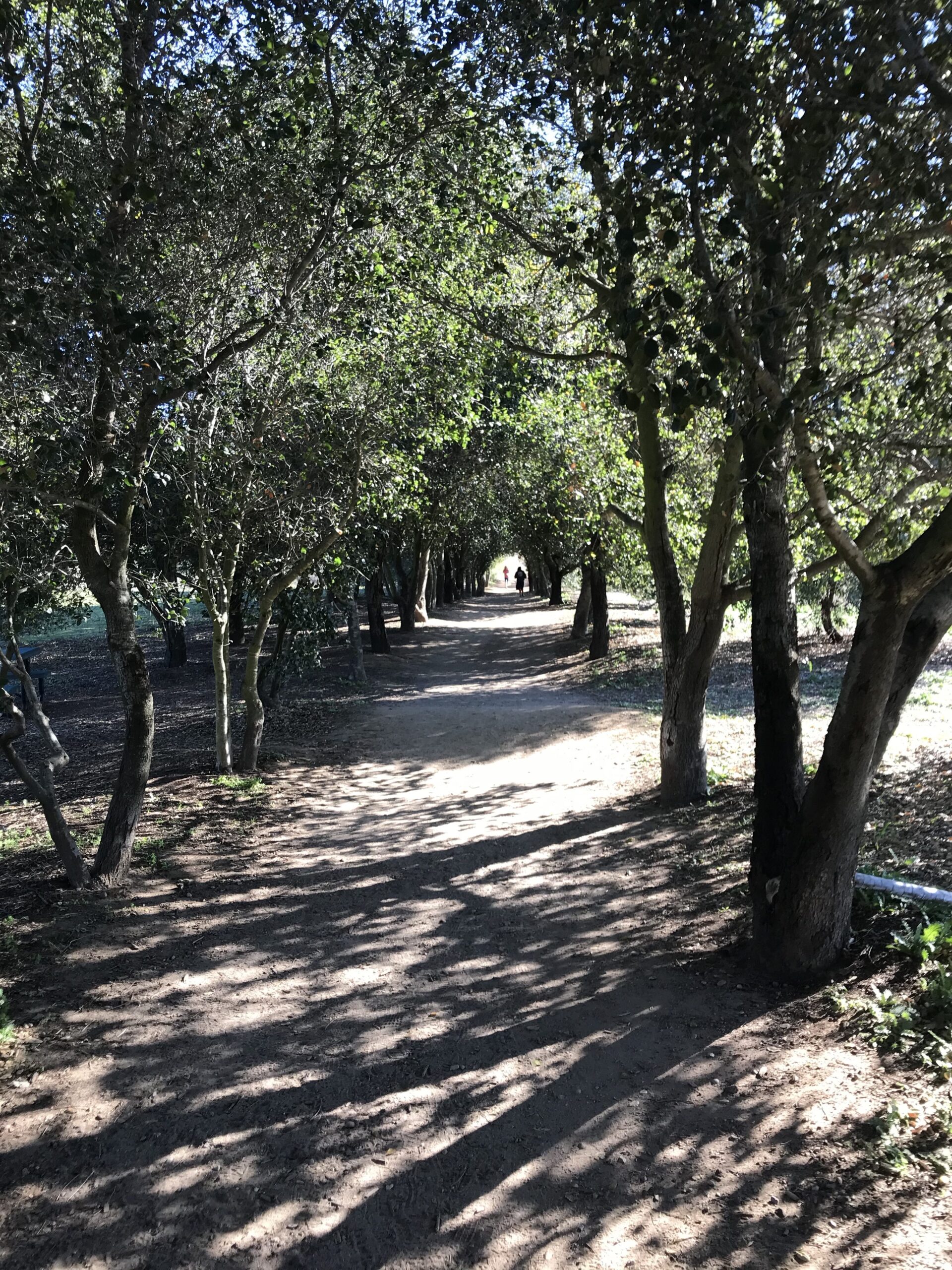 Iron Mountain, Poway CA 01/31/2020  Hiker Therapy